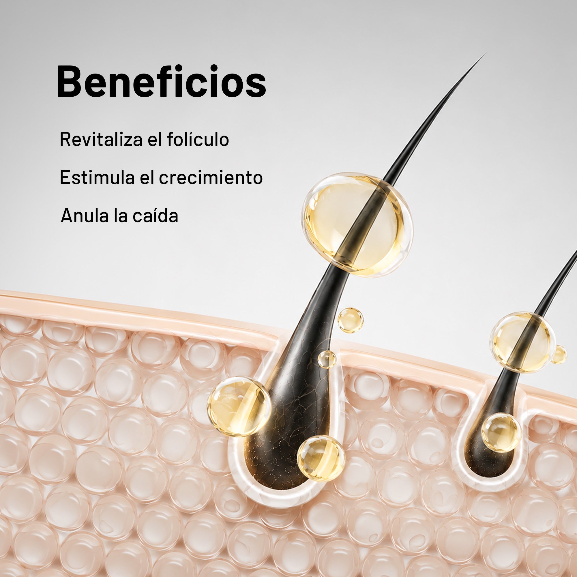 Dúo Crece & Nutre